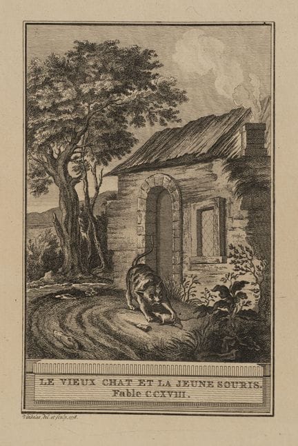R. VINKELES (1741-1816), The cat and the young mou
