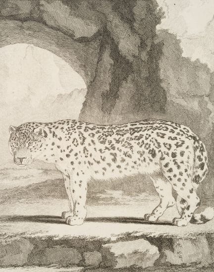 J. BAQUOY (*1721) after SÈVE (*1742), A view of a 