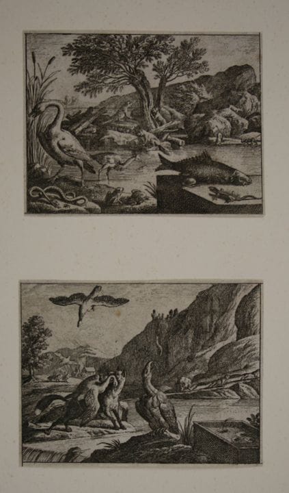 Unknown (18th), Foxes, birds and beavers, 2 sheets