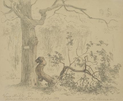 F. BELLERMANN (*1814), Parco faunistico di Neue Mü