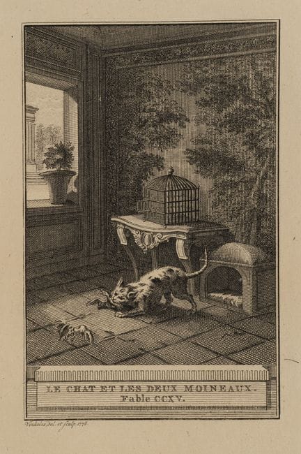 R. VINKELES (1741-1816), A cat and two sparrows,  