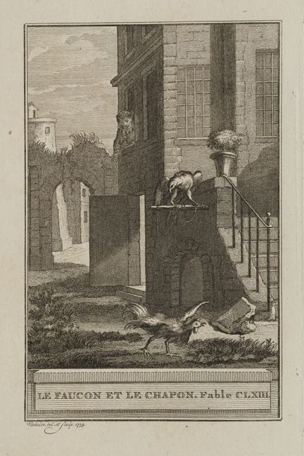 R. VINKELES (1741-1816), «Un halcón y un gallo en 
