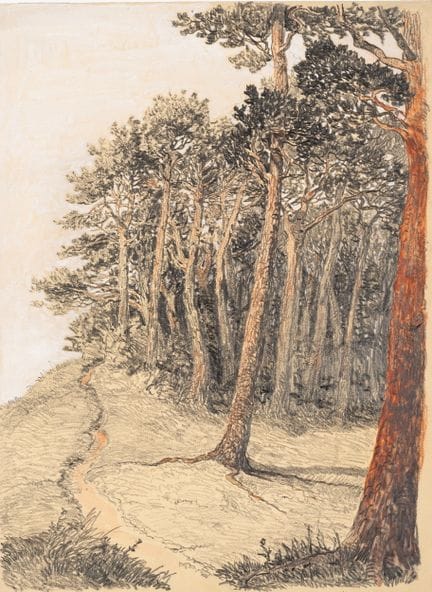 A. KAPFHAMMER (*1867), «Camino a través del pinar»