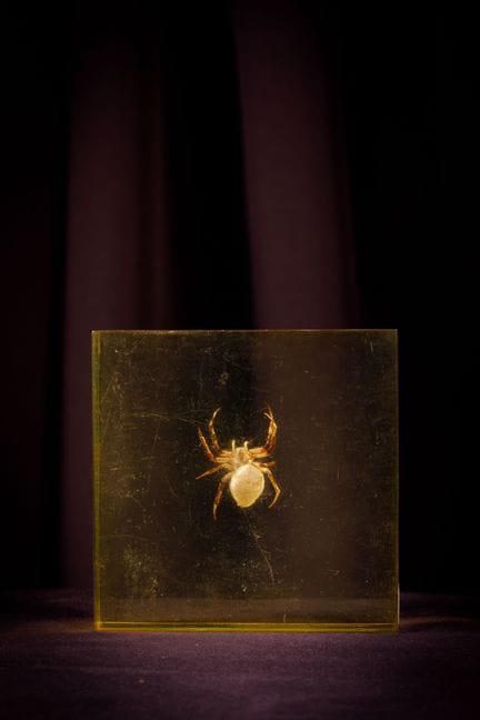 [ARTIFICIALIA]
Pierre GIRAUDON (1923-2012) - BIOPL