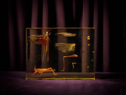 [ARTIFICIALIA]
Pierre GIRAUDON (1923-2012) - BIOPL