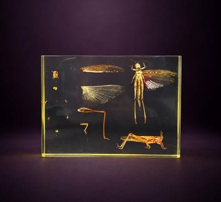 [ARTIFICIALIA]
Pierre GIRAUDON (1923-2012) - BIOPL