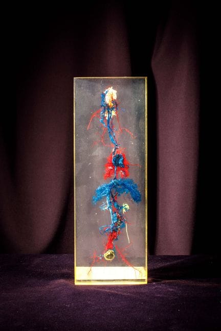 [ARTIFICIALIA]
皮埃尔·吉罗东（1923-2012）——生物塑料
矩形块体，内含四组仓