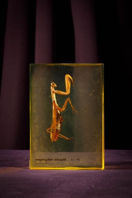 [ARTIFICIALIA]
Pierre GIRAUDON (1923-2012) - BIOPL