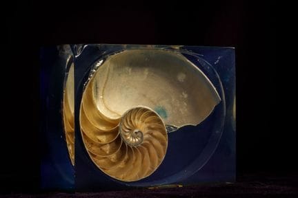 [ARTIFICIALIA]
Pierre GIRAUDON (1923-2012) - BIOPL