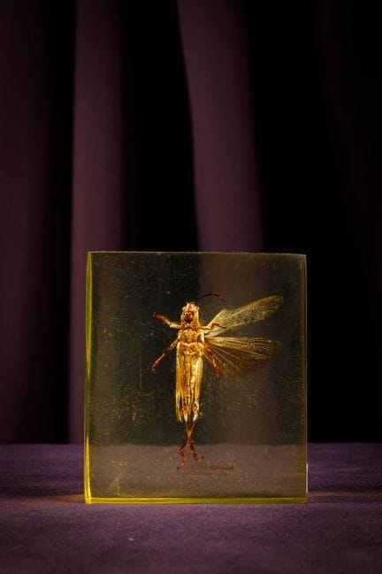 [ARTIFICIALIA]
Pierre GIRAUDON (1923-2012) - BIOPL