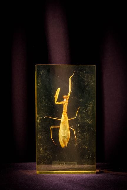 [ARTIFICIALIA]
Pierre GIRAUDON (1923-2012) - BIOPL