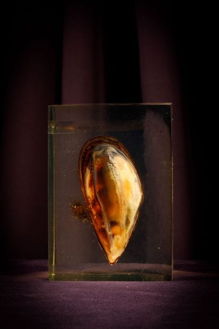 [ARTIFICIALIA]
Pierre GIRAUDON (1923-2012) - BIOPL