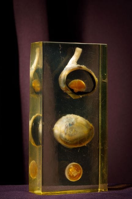 [ARTIFICIALIA]
Pierre GIRAUDON (1923-2012) - BIOPL