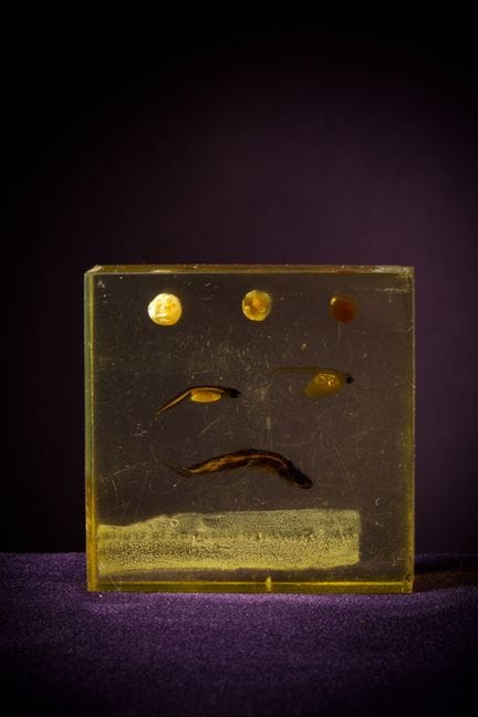[ARTIFICIALIA]
Pierre GIRAUDON (1923-2012) - BIOPL