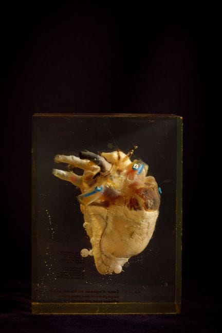 [ARTIFICIALIA]
Pierre GIRAUDON (1923-2012) - BIOPL