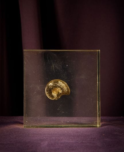 [ARTIFICIALIA]
Pierre GIRAUDON (1923-2012) - BIOPL
