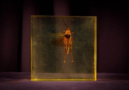 [ARTIFICIALIA]
Pierre GIRAUDON (1923-2012) - BIOPL