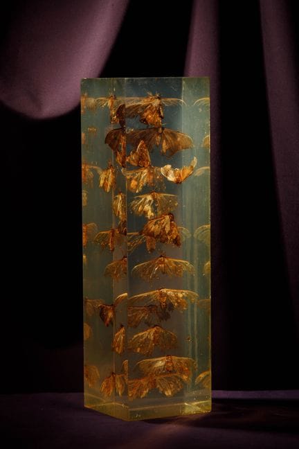 [ARTIFICIALIA]
Pierre GIRAUDON (1923-2012) - BIOPL