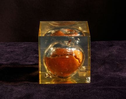 [ARTIFICIALIA]
Pierre GIRAUDON (1923-2012) - BIOPL