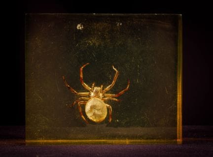 [ARTIFICIALIA]
Pierre GIRAUDON (1923-2012) - BIOPL