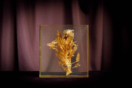 [ARTIFICIALIA]
Pierre GIRAUDON (1923-2012) - BIOPL