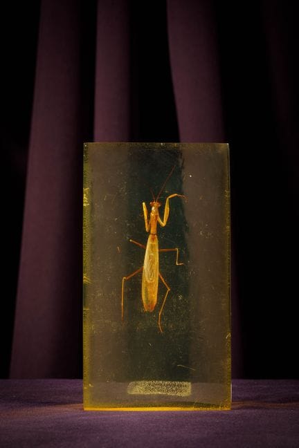 [ARTIFICIALIA]
Pierre GIRAUDON (1923-2012) - BIOPL