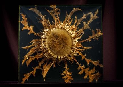 [ARTIFICIALIA]
Pierre GIRAUDON (1923-2012) - BIOPL