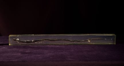[ARTIFICIALIA]
Pierre GIRAUDON (1923-2012) - BIOPL