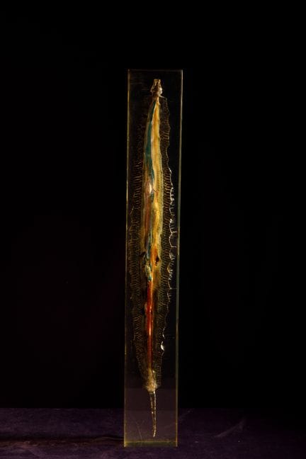 [ARTIFICIALIA]
Pierre GIRAUDON (1923-2012) - BIOPL