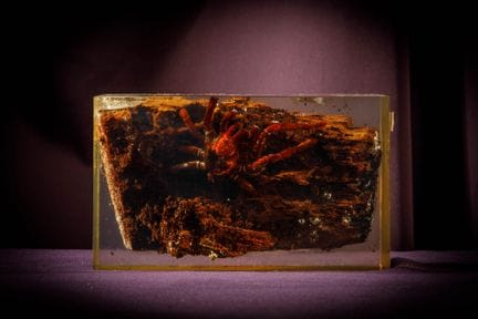 [ARTIFICIALIA]
Pierre GIRAUDON (1923-2012) - BIOPL