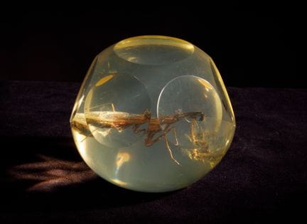[ARTIFICIALIA]
Pierre GIRAUDON (1923-2012) - BIOPL