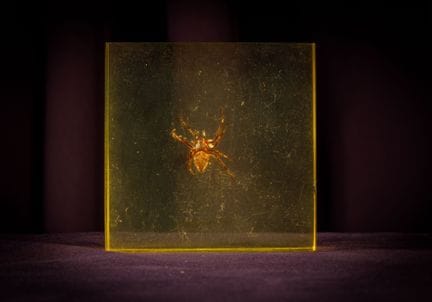 [ARTIFICIALIA]
Pierre GIRAUDON (1923-2012) - BIOPL