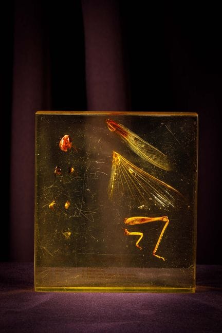 [ARTIFICIALIA]
Pierre GIRAUDON (1923-2012) - BIOPL