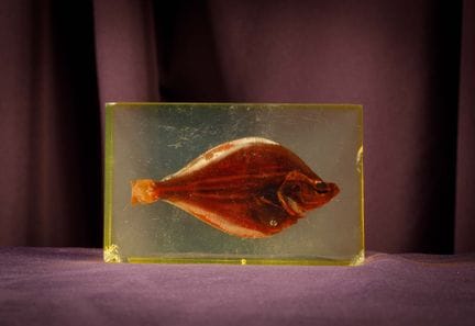 [ARTIFICIALIA]
Pierre GIRAUDON (1923-2012) - BIOPL