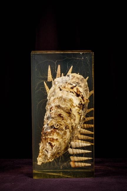 [ARTIFICIALIA]
Pierre GIRAUDON (1923-2012) - BIOPL