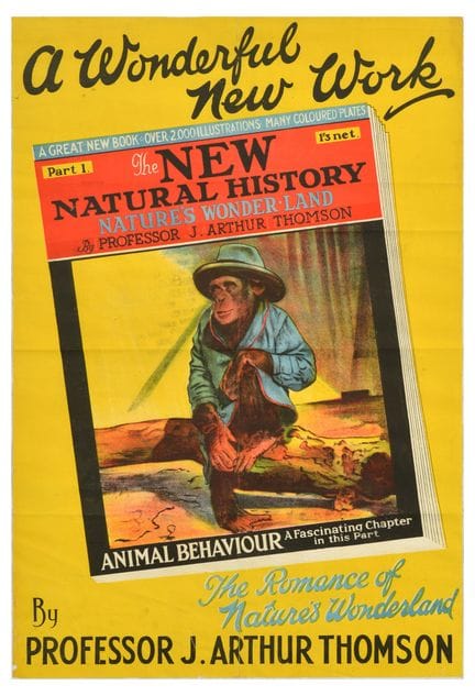 Affiche Ancienne Manifesto pubblicitario originale