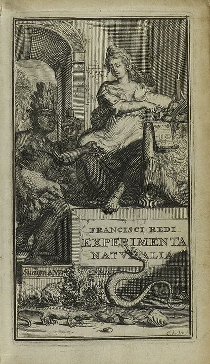 1675.  
 LIBRO.  
 (CIENCIAS-NATURALEZA).  
 REDI,