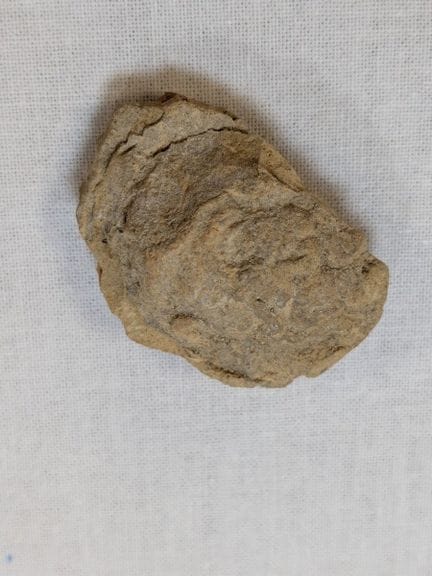 Terrakotta-Kopf eines bärtigen Mannes, römische Ze