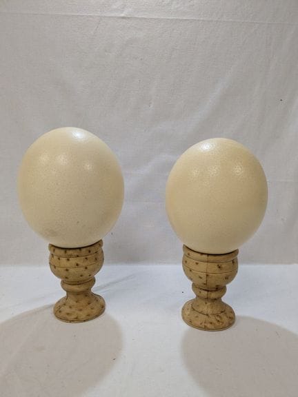 Set di due uova di struzzo 
Altezza: 15 cm
Su basi