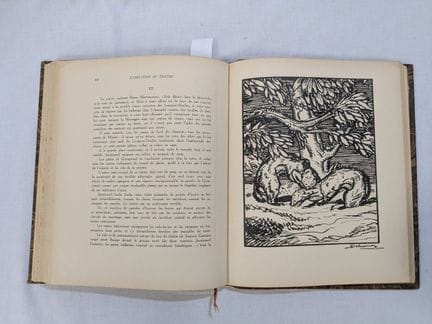 LOUIS PERGAUD, "Histoires de bêtes". DELAGRAVE, 19