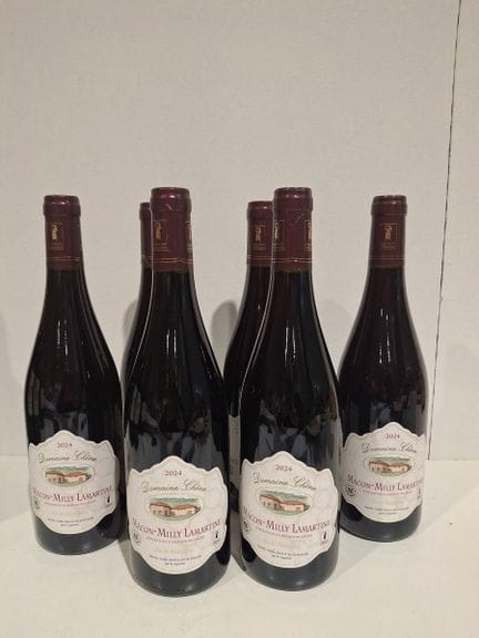 6 Flaschen Mâcon-Milly Lamartine 2024 Domaine Chên