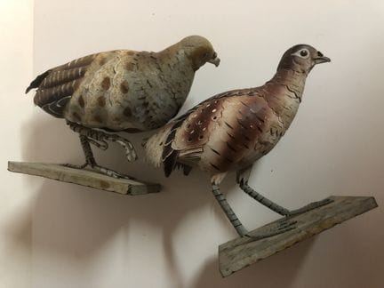 Ein Paar Vögel aus lackiertem Blech (Wachteln oder