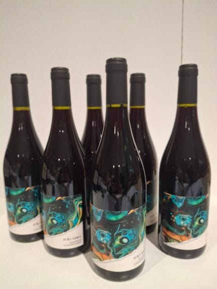 6 Flaschen Saumur Champigny Aoc 2018 Solo Vinea