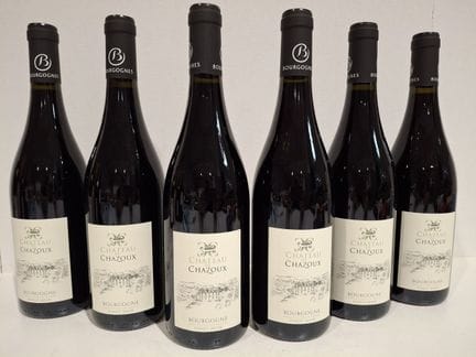6 Flaschen Pinot Noir 2023 – Château de Chazoux Pi