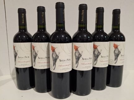 6 Flaschen Cabernet Sauvignon 2021 – Aves Del Sur 