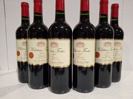 6 Flaschen Graves Rotwein 2023 – Château Fortin – 