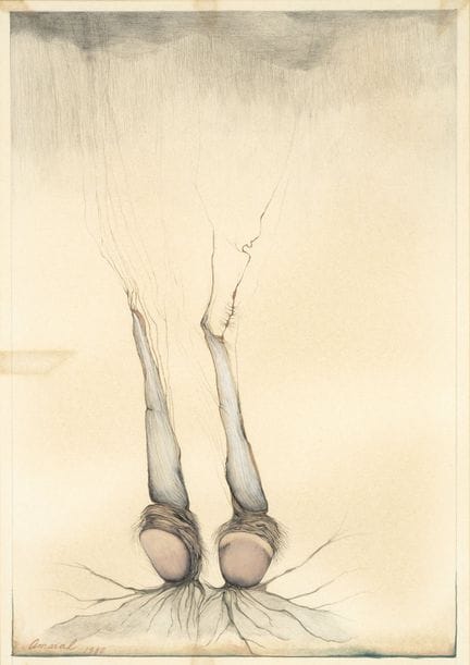 JIM AMARAL
Stati Uniti, 1933

Fiore invisibile, ta