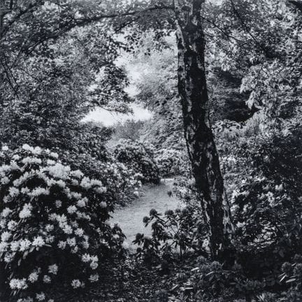 JOAN FONTCUBERTA
Espagne, 1955

The Reconstruction