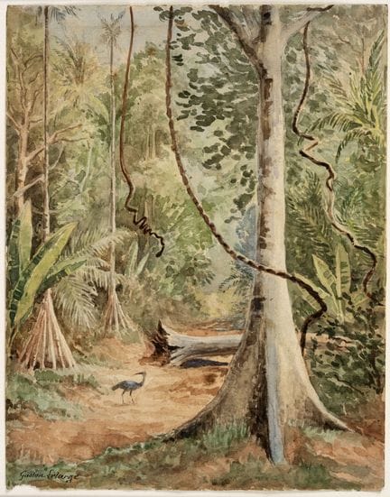 GASTÓN LELARGE
Francia, 1861 - Colombia, 1934

Sen