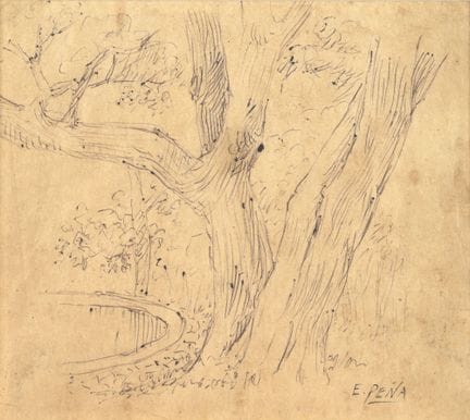 欧亨尼奥·佩尼亚
哥伦比亚，1860—1944

无题，无日期
纸本墨水画
15 × 17 厘米

